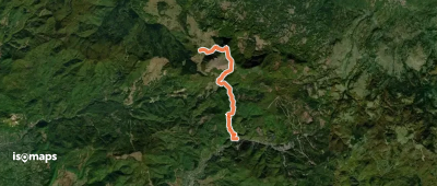 oraș Cavnic – Poiana Mlejnița – Creasta Cocoșului (blue_cross)