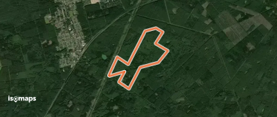 Südheide 'Der Urwald im Lüß' W8k (kurze Tour)