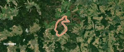 Rundwanderweg Waldhausen 2 Grauer-Forst-Weg