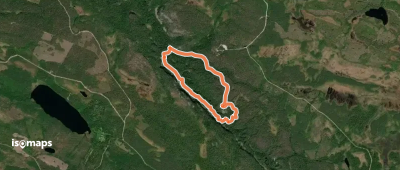 Koronjää