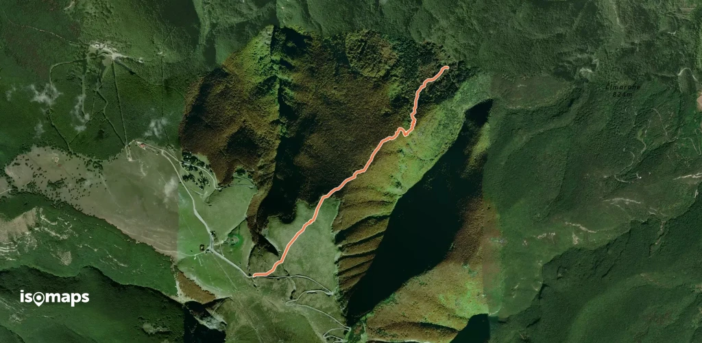 OSM Route 9804426