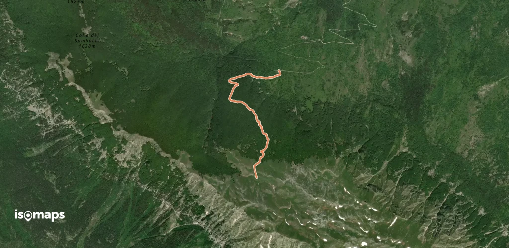 OSM Route 9818830