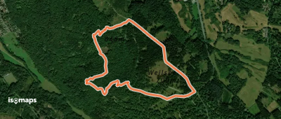 Zacken Beilstein Steig [Rotmilan]