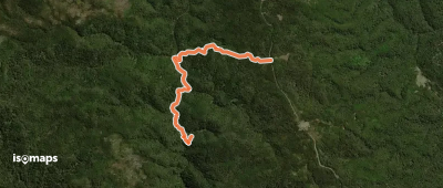 Sendero Estero Lañihual