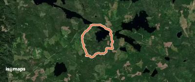 Luffarboleden kort