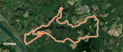 Rundwanderweg Braubach: B3 Kleinbahndamm-Hinterwald-Molkenborn