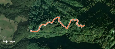 Grütwald - Federiwald