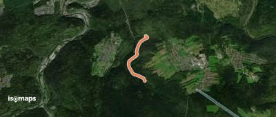 Alte Grösseltaler Steige - Traueresche