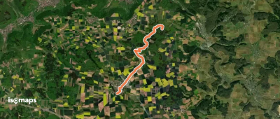 gelbe Gabel Lontal - Wittingen
