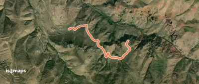 Bezoar Goat Trail