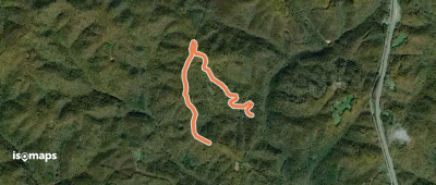 Neely Knob Road and Trail