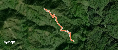 Indian Camp Trail