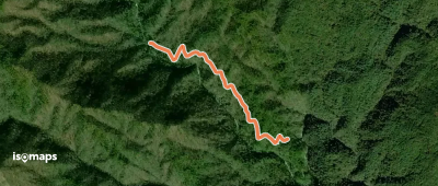 Wintergreen Trail