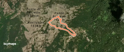Col de Bavella<->Croix de Leccia