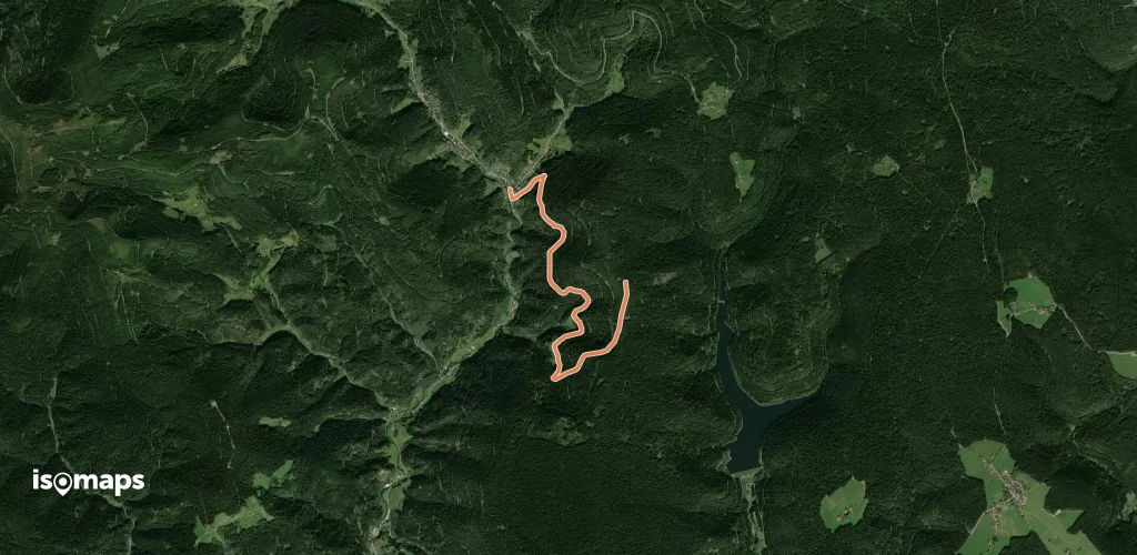 Bad Rippoldsau - Burgbachhöhe (Mittelweg)