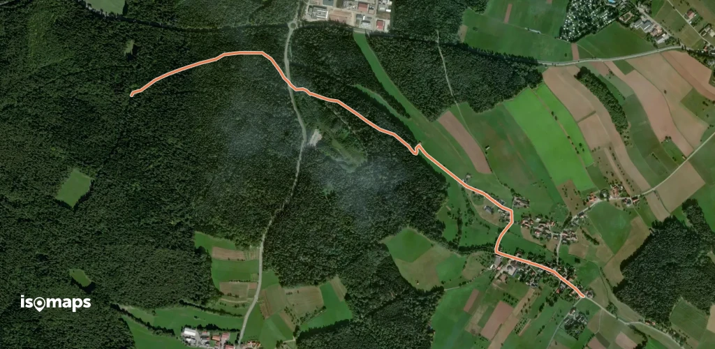 Weltenschwann - Große Streuwald Kiefer