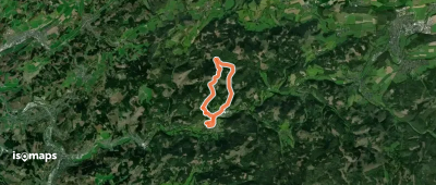 Saalhausen Böddesrundwanderweg Dreieck