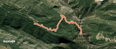 Creu del Cardenal