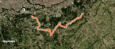 CaminANTES Ruta 8: Castilla Cruz - Hitocruz -Turi