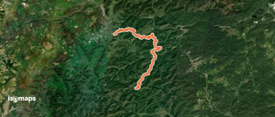 Pfälzerwald Grünes Dreieck