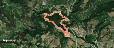 Obaga de les Codines