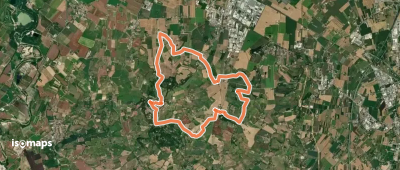 La Via delle Vigne