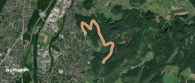 Burg Reichenstein - Spitalholz - fixme