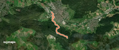 Nebenlinie des SAV (blaues Plus)