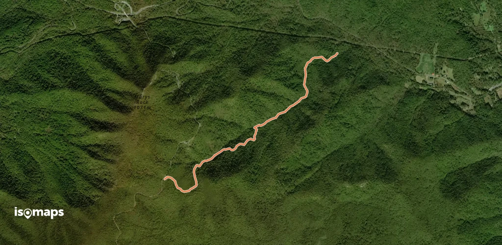 Buck Hollow Trail