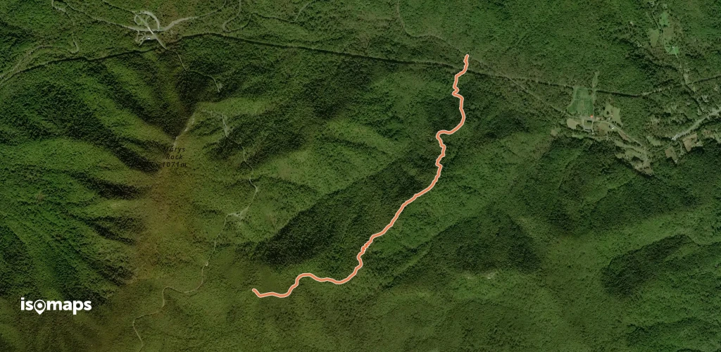 Buck Ridge Trail