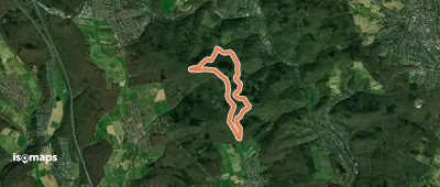 Domherrnwald: Keiler