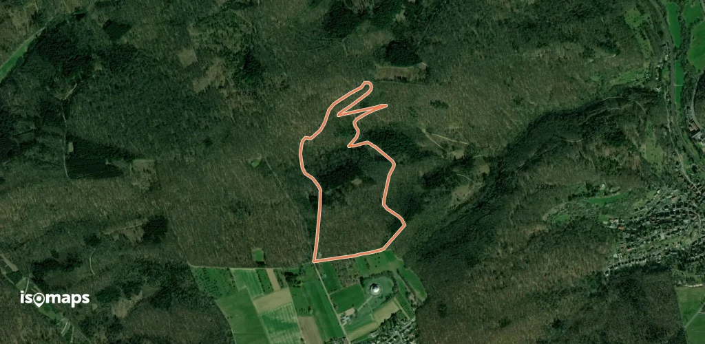 Domherrnwald: Rehbock