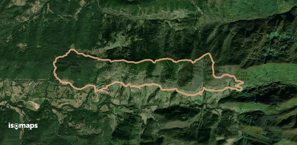 Trescant per la Serra de Puig d'Estela