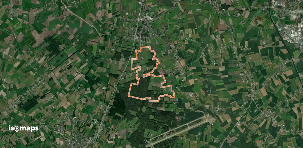 Ginstepad