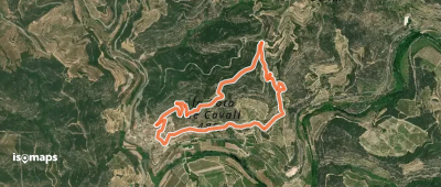Oliveres damunt la roca