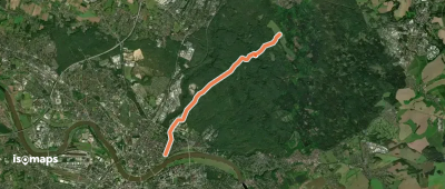 Grüner Punkt "Dresdner Heide, Marienallee - Hofewiese"